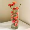 12 Pack Glass Cylinder Vases for Centerpieces,Wedding Flower Vase Centerpieces for Tables,8 Inch Glass Cylinder Vase for Flowers Decor, Table Shelf, Floating Candle and Home Decor view 3
