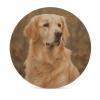 4PCS Drink Coaster Golden Retriever Absorbent Coasters Set Coffee Table Coasters for Drink Coffee Cup Beverage Coasters Wine Beer Bar Coasters view 3