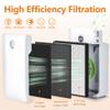 GoKBNY IC-4524 Replacement Filter Compatible with InvisiClean Claro Air-Purifier, 6 Count, Black, HEPA & Activated Carbon view 2