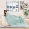 Electric Heated Blanket 84"x90" Queen Size, Soft Coral Fleece, Dual Controllers with 4 Heating Levels and 10 Hours Auto-Off, Machine Washable, Cozy Plush Fabric for Home, Mint Green view 3