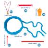Field Day Tug of War Rope for Kids and Adults, Outdoor Lawn Yard Family Reunion Birthday Games, Team Building Games for Carnival Party, Outside Backyard Camping Picnic Party, School Party (Blue) view 2