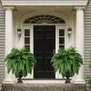 HELLORSO Single Silky Artificial Boston Fern Bush, 23Inch Artificial Plants, Suitable for Decorating Office, Patio, Living Room Faux Greenery (Green) view 3