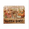 Pinroote Hello Fall Squirrel Chair Covers - 4 Pcs Dining Room Chair Back Covers, Orange Plaid Pumpkins Thanksgiving Chair Slipcovers Removable Chair Protectors Covers for Kitchen/Banquet/Party 19"x20" view 2
