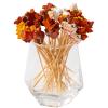 Jiesky 125pcs Fall Cocktail Picks Autumn Theme turkey squirrel pumpkin maple leaf Bamboo Cocktail Toothpicks Fruit Sticks Sandwich Appetizer Charcuterie Skewers for Thanksgiving Day Decorations Party view 2