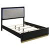 Benzara Caer Queen Size Bed- LED Panel Tall Headboard- Gray Upholstery- Black Okume view 1