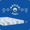Sealy Dreamlife 6 Foam Mattress-in-a-Box, Twin XL, SealyComfort Gel Memory Foam, Surface-Guard Technology, Breathable Comfort view 3