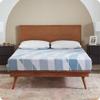 Sealy Dreamlife 8 Foam Mattress-in-a-Box, Queen, SealyComfort Gel Memory Foam, Surface-Guard Technology, Breathable Comfort view 1