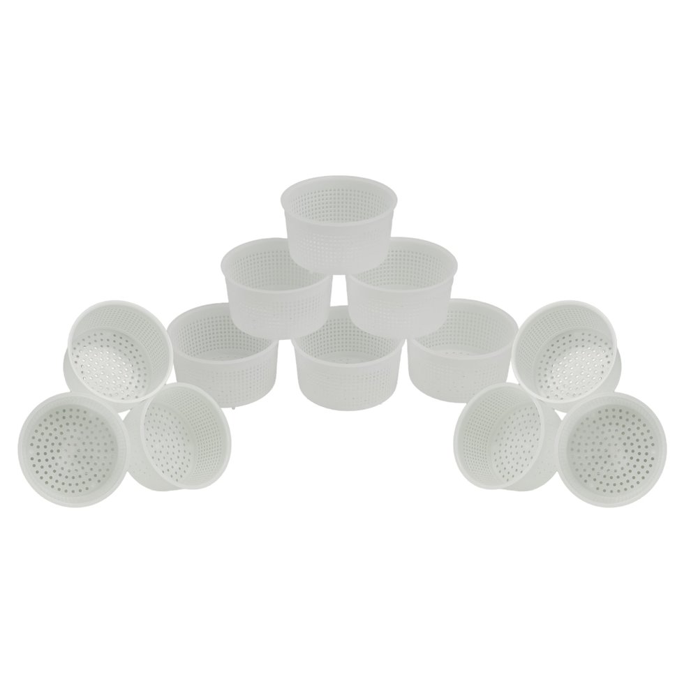 North Mountain Supply Plastic Cheese Making Molds for Caciotta - 4in. by 2in. - Made in Italy - Pack of 12