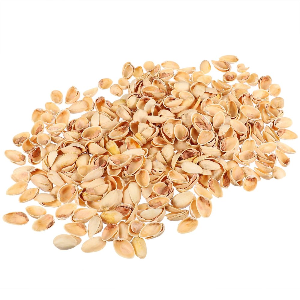 SEWACC Empty Pistachios Shell Blank Pistachios Shell Handicraft Material Vase Filler for DIY Crafts