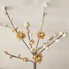 SEWACC Empty Pistachios Shell Blank Pistachios Shell Handicraft Material Vase Filler for DIY Crafts view 2