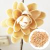 SEWACC Empty Pistachios Shell Blank Pistachios Shell Handicraft Material Vase Filler for DIY Crafts view 3