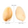 SEWACC Empty Pistachios Shell Blank Pistachios Shell Handicraft Material Vase Filler for DIY Crafts view 4