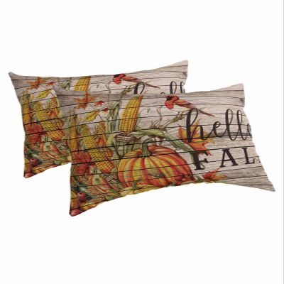 Hello Fall Pillow Covers Queen Size 2 Pack, Soft Bed Throw Pillowcases Breathable Cooling Long Lumbar Body Pillow Sham Cover for Bed Sofa 20x30 Orange Pumpkins Birds Vintage Thanksgiving