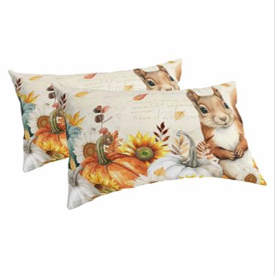 BOBOWUNY Fall Squirrel Pillow Covers Standard Size 2 Pack, Soft Bed Throw Pillowcases Breathable Cooling Long Lumbar Body Pillow Sham Cover for Bed Sofa 20x26 Pumpkins Maple Leaf Thanksgiving Rustic