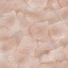 Balsa Circle 4000 Peach Silk Artificial Rose Petals Wedding Ceremony Flower Scatter Tables Decorations Bulk Supplies Wholesale view 3