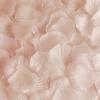 Balsa Circle 4000 Peach Silk Artificial Rose Petals Wedding Ceremony Flower Scatter Tables Decorations Bulk Supplies Wholesale view 4