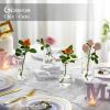 Glasseam Glass Bud Vases for Centerpieces: Clear Small Flower Vase Decor Bulk Set of 24 Simple Modern Decorative Vases for Flowers Mini Candle Vase Wedding Centerpiece for Dining Table Decorations view 4