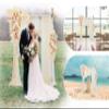 Ting's time Wedding Arch Flowers and Drape Kit (Set of 5) 2 Pcs Artificial Floral Swag Arrangement 3 Pcs Arch Draping Fabric for Wedding Ceremony Arbor and Reception(Beige) view 2