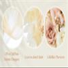 Ting's time Wedding Arch Flowers and Drape Kit (Set of 5) 2 Pcs Artificial Floral Swag Arrangement 3 Pcs Arch Draping Fabric for Wedding Ceremony Arbor and Reception(Beige) view 4