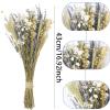 CISDUEO Dried Flowers Bouquet Dried Daisy Flowers Natural Lavender Bundles Dried Gerber Daisies Flowers Bunny Tails Wheat Stalks Floral Arrangements for Wedding Table Centerpiece Decor Farmhouse DIY view 2