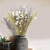 CISDUEO Dried Flowers Bouquet Dried Daisy Flowers Natural Lavender Bundles Dried Gerber Daisies Flowers Bunny Tails Wheat Stalks Floral Arrangements for Wedding Table Centerpiece Decor Farmhouse DIY view 4