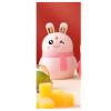 Sunicon Cute Toothpick Holder Dispenser,Portable Plastic Funny Bunny Decorative Pop Up Tooth Picks Holder Dispenser Automatic Bunny Shape Toothpick Container Gift for Home Kitchen (-3118240033611) view 2