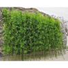 Indoor Outdoor Artificial Fake Bamboo Tree Privacy Fence,DIY Decor Screen Fake Bamboo Silk Faux Tree Plant,Faux Bamboo Greenery Wall,Outdoor Artificial Fake Bamboo 3.3,3.9,4.9,5.9,6.5ft Tall(70 Bamboo view 1