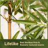 Indoor Outdoor Artificial Fake Bamboo Tree Privacy Fence,DIY Decor Screen Fake Bamboo Silk Faux Tree Plant,Faux Bamboo Greenery Wall,Outdoor Artificial Fake Bamboo 3.3,3.9,4.9,5.9,6.5ft Tall(70 Bamboo view 3