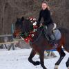 Dingion Christmas Wreath Horse Christmas Horses Neck Garland 16.9 Inches Artificial Outdoor Garland Horse Costume Rustic Farmhouse Decor for Xmas Holiday Party Parades Supplies(Xmas Bow Style) view 4