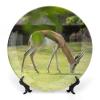 8" Ceramic Decorative Plates for Home Decor Antelope Animal Africa Porcelain Wall Plate Ornament Modern Kitchen Dining Room Decoration Home Display Wobble-Plate view 1
