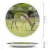 8" Ceramic Decorative Plates for Home Decor Antelope Animal Africa Porcelain Wall Plate Ornament Modern Kitchen Dining Room Decoration Home Display Wobble-Plate view 2