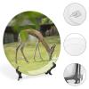 8" Ceramic Decorative Plates for Home Decor Antelope Animal Africa Porcelain Wall Plate Ornament Modern Kitchen Dining Room Decoration Home Display Wobble-Plate view 4
