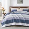 Andency California King Quilt Set - Mineral Blue Lightweight Soft Quilt Cal King - Summer Bedspread California King Size - Bedding Coverlet for All Seasons (Includes 1 Quilt, 2 Pillow Shams) view 1