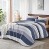 Andency California King Quilt Set - Mineral Blue Lightweight Soft Quilt Cal King - Summer Bedspread California King Size - Bedding Coverlet for All Seasons (Includes 1 Quilt, 2 Pillow Shams) view 2