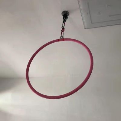 Chirp Wheel Yoga Back Wheel Aerial Yoga Hoop Kit with Non-slip Tape & Ceiling Anchor, Hanging Yoga Hoop for Home/ Dancing Studio/ Gym, Stainless Steel Large Hoop for Women/ Men(25mm,Aerial silks stand