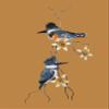 Bovano - Wall Sculpture - Male & Female Kingfisher view 2