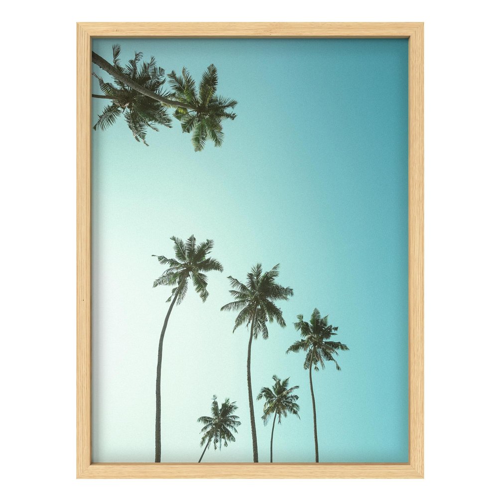 SIGNLEADER Framed Wall Art Print Ground View of Tropical Beach Palm Trees Nature Modern Illustration Decorative Country/Farmhouse Rustic Cozy Zen for Living Room, Bedroom, Office - 8"x10" Natural