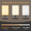 FARRIDE Light Therapy Lamp 10000 Lux Sun Lamp with 3 Color Temperatures, Adjustable Brightness, 4 Timer & Memory Function, Full Spectrum Light, Sunlight Lamp with Remote Control for Home, Happy Life view 3