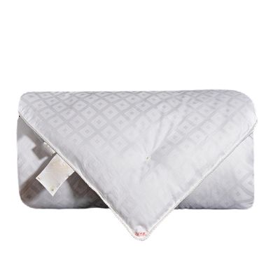ZUIAI Palace Silkworm Silk All Cotton Sateen Silk Winter Quilt with Core Thickened Quilt(3KG)
