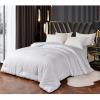 ZUIAI Palace Silkworm Silk All Cotton Sateen Silk Winter Quilt with Core Thickened Quilt(3KG) view 2