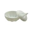 Garlic Container view 2