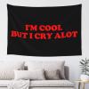 Haebfsli'M Cool But I Cry Alot Tapestry Wall Art For Bedroom Aesthetic,Wall Hanging Poster For Bedroom Dorm Living Room Backdrop Decor,60 X 40 Inches view 1