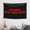 Haebfsli'M Cool But I Cry Alot Tapestry Wall Art For Bedroom Aesthetic,Wall Hanging Poster For Bedroom Dorm Living Room Backdrop Decor,60 X 40 Inches view 2