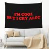 Haebfsli'M Cool But I Cry Alot Tapestry Wall Art For Bedroom Aesthetic,Wall Hanging Poster For Bedroom Dorm Living Room Backdrop Decor,60 X 40 Inches view 3