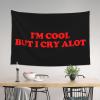 Haebfsli'M Cool But I Cry Alot Tapestry Wall Art For Bedroom Aesthetic,Wall Hanging Poster For Bedroom Dorm Living Room Backdrop Decor,60 X 40 Inches view 4