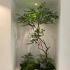 Artificial Green Maple Tree Faux Silk Plant Green Planter Fake Greenery Potted Plant for Home Office Decor Indoor(1.5mx1.2m) view 1
