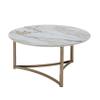 Acme Aziz Contemporary Metal Coffee Table with Stone Top in Champagne Bronze view 1