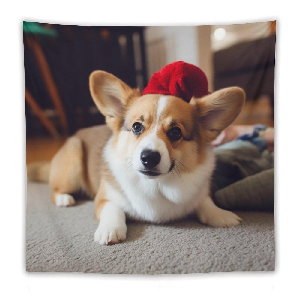 Tapestry Wall Hanging 30 X 40 in Decorates Tapestrys for Bedroom Cute Corgi Wall Tapestry Soft Aesthetic Wall Decor Tapestries for Living Room Personalized Wall Blanket