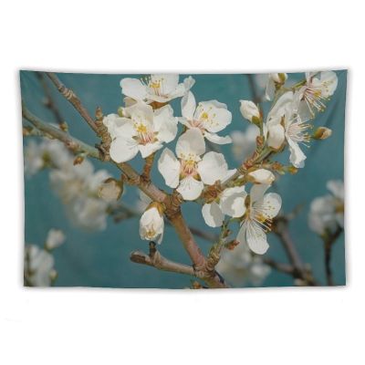 Tapestry Wall Hanging 30 X 40 in Decorates Tapestrys for Bedroom Almond Blossom Wall Tapestry Soft Aesthetic Wall Decor Tapestries for Living Room Personalized Wall Blanket