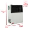 Ashley Wall Heater, Dual Fuel, 11k Direct Vent view 4